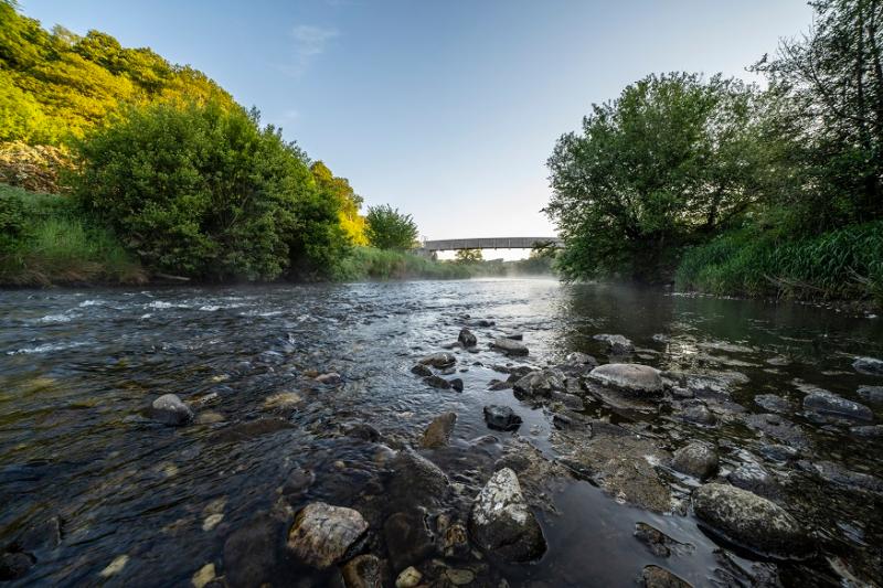 Make nature your playground this summer in the Faughan Valley Woodlands