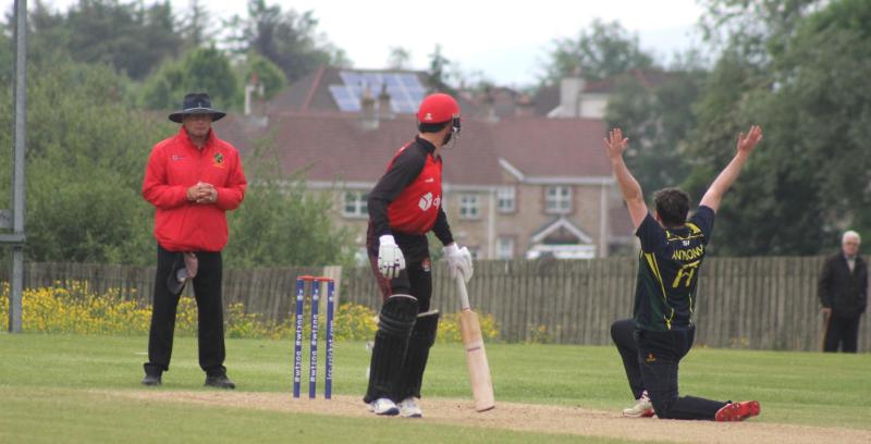 Cup action all the way for north west cricketers