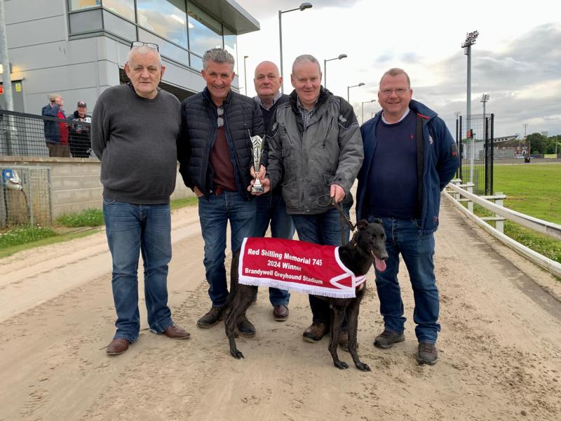 Derry Greyhounds: Maggies Aim strikes gold in Red Shilling Final
