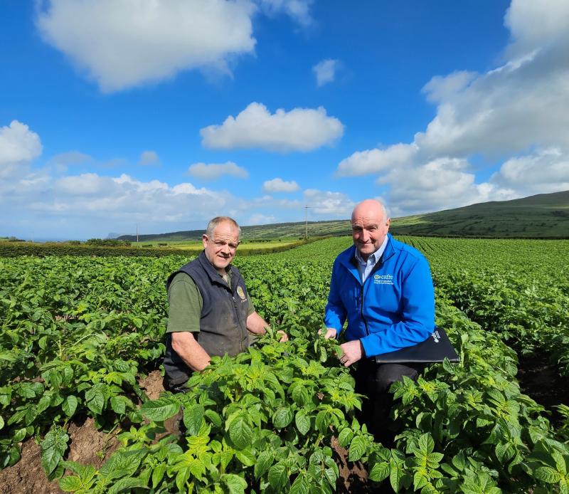 Limavady workshop to discuss blight control for local potato growers