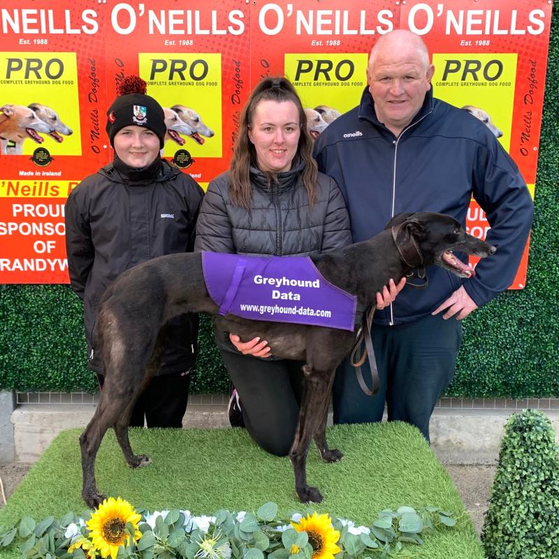 Derry Greyhounds: Moss Flyer sets the bar in Quiqley Memorial heats