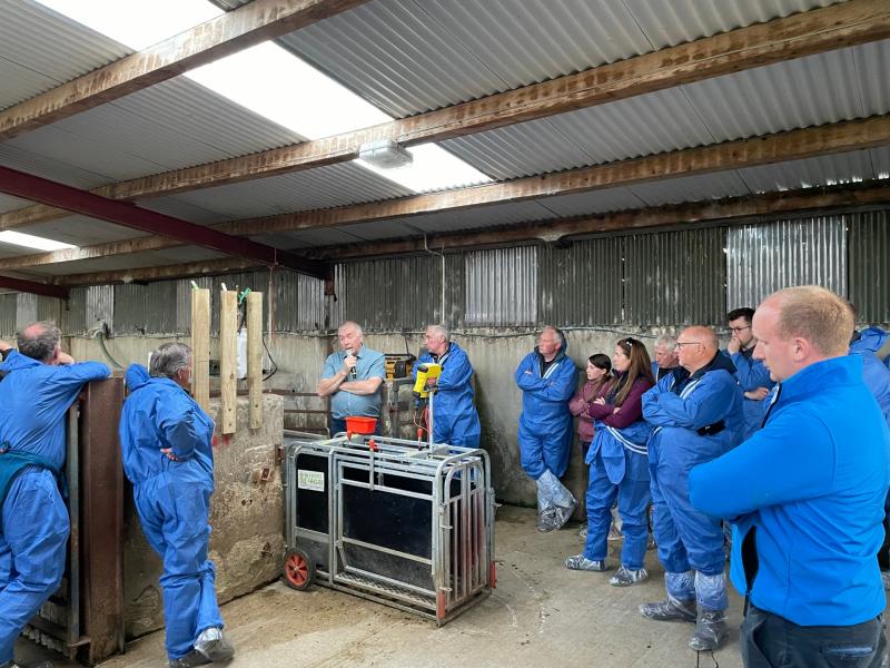 Attendees at farm walk in Park village told that attention to detail improves profit from pasture