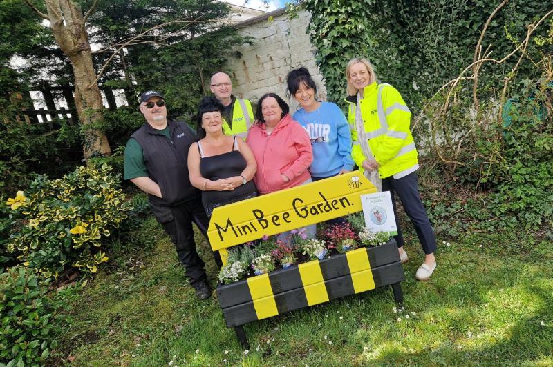 Pollinator project launched in Derry to boost bee population