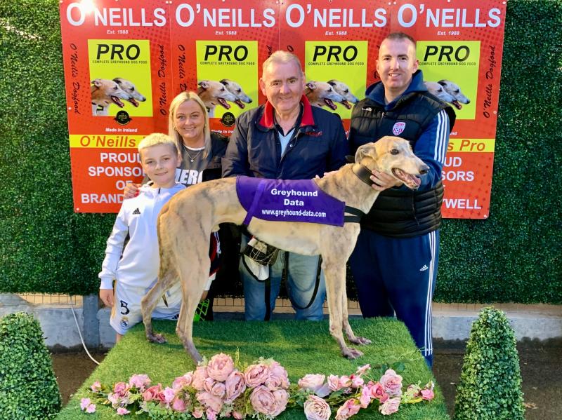 Derry Greyhounds: Blue Jig Molly catches attention in M1 Petfoods Semi-Finals 