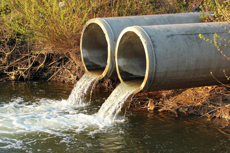Hunter slams shoreline sewage scandal branding it an 'environmental catastrophe'