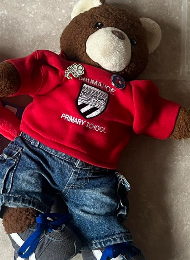 Barnaby Bear returning to Drumahoe Primary School (Credit: Instagram- Tandem Twins)
