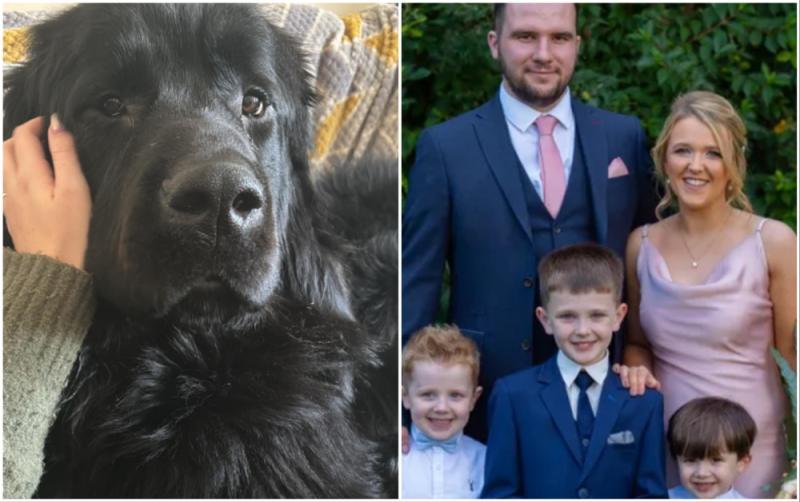 Fundraiser launched after Coleraine expectant family lose 'precious' dog in major house fire