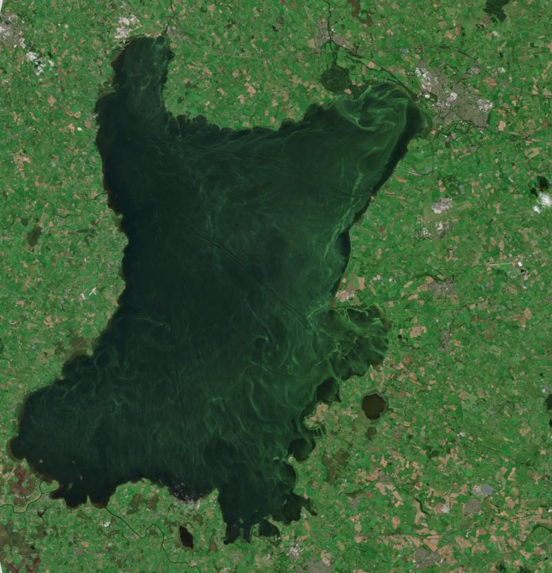New initiative to use space-based technology to predict and monitor blue-green algal blooms in Lough Neagh