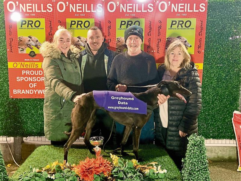Derry Greyhounds: Seamus’s Mineolas, Notshort Ofpace at Brandywell
