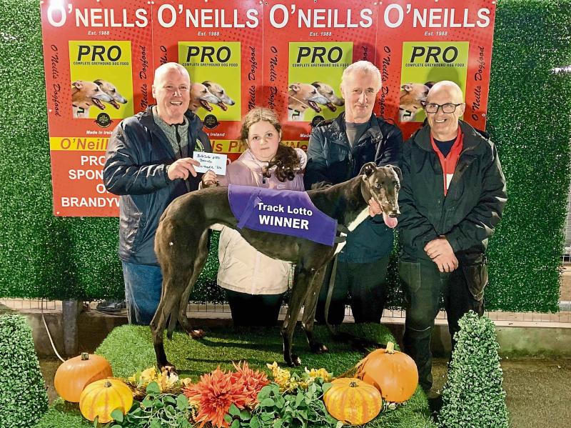Derry Greyhounds: La Calabaza fastest in Derby heats