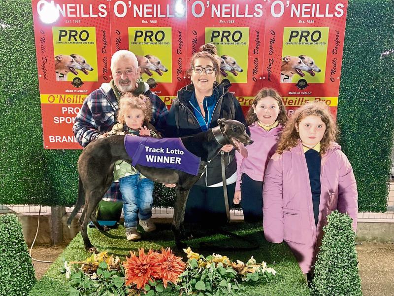 Derry Greyhounds: La Calabaza squashes her rivals’ challenges in Derby Semi-Final