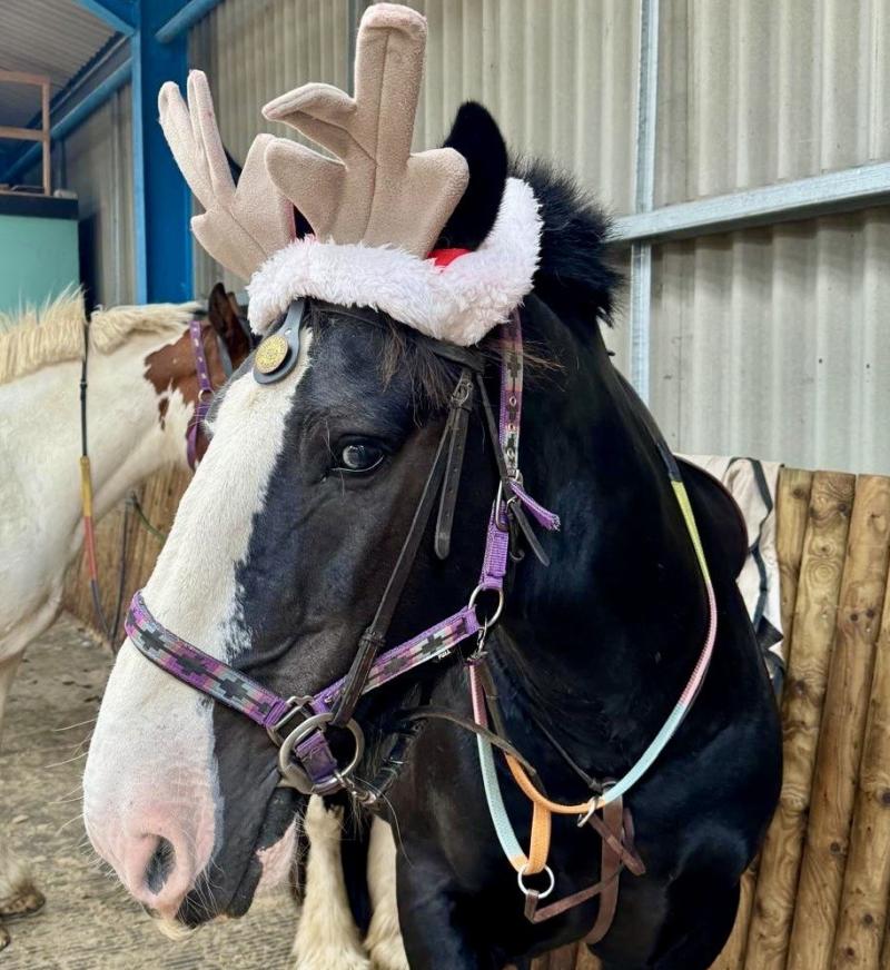 RDA Maghera Christmas Event