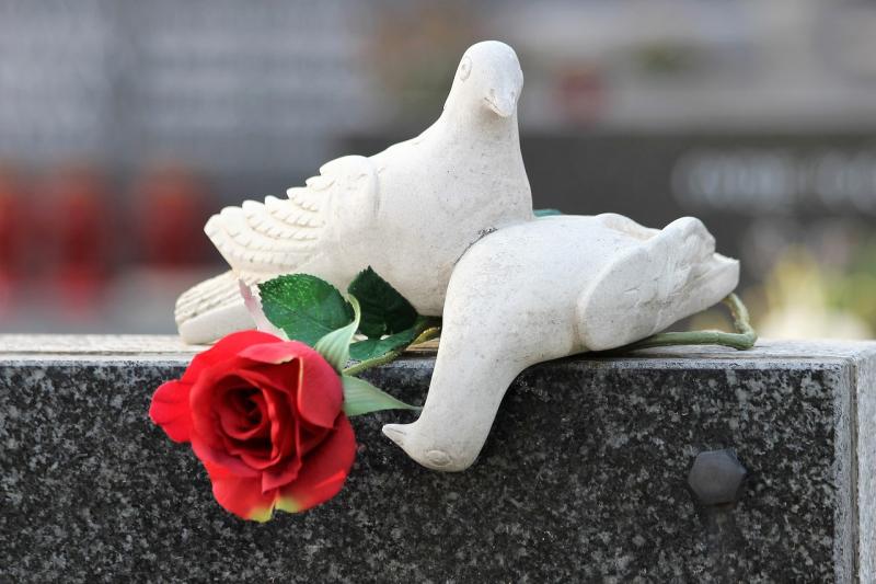 Birds top suspects amid anger and confusion over missing grave stones in Greysteel