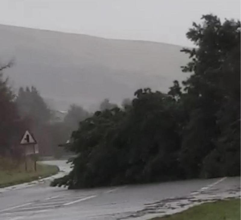Storm &Eacute;owyn: Large tree blocking Glenshane pass road at Dungiven