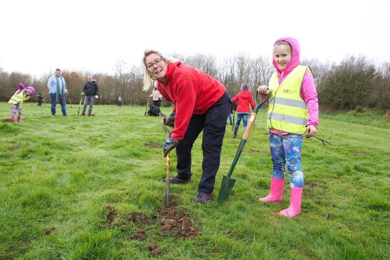Volunteers sought to take part in Bay Road Tree Planting Day