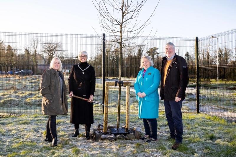Causeway Coast and Glens plant oak trees at the Queen Elizabeth II tree painting at The Jim Watt Centre, Garvagh
