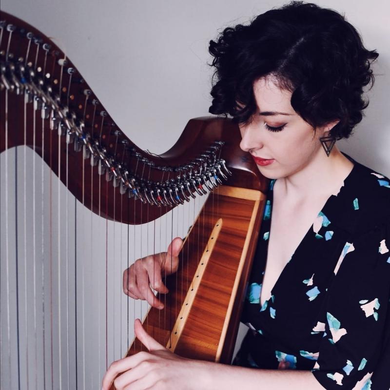 Celebrate the richness of Irish Culture at Flowerfield Arts Centre in March