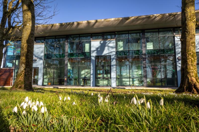 Flowerfield Arts Centre exhibition showcases women’s perspectives through photography