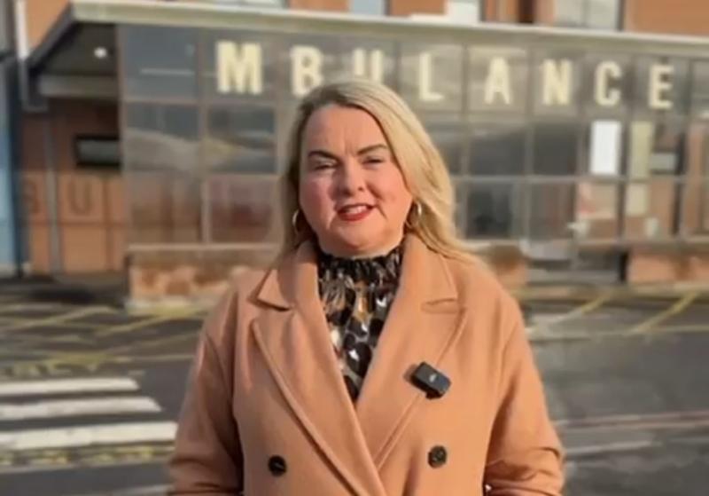 United Ireland is a 'unique opportunity' to create all-island public health service - Duffy