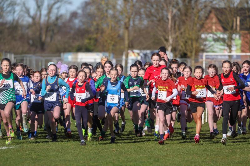 The 2024-25 Flahavan’s Athletics NI Primary School Cross Country League came to a close as pupils from across Northern Ireland sprinted to the finish line at the league final at Mallusk Playing Fields