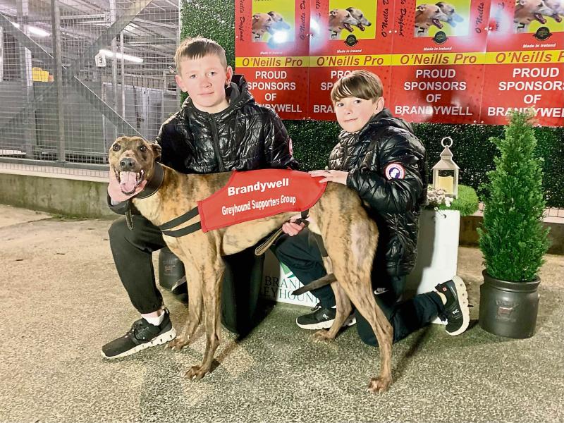 Derry Greyhounds: Cashout’s win rewards his supporters Generous-ly