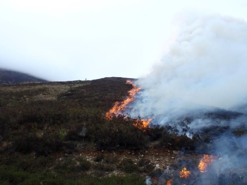 Natural Hazards issue Yellow Wildfire Warning for Northern Ireland