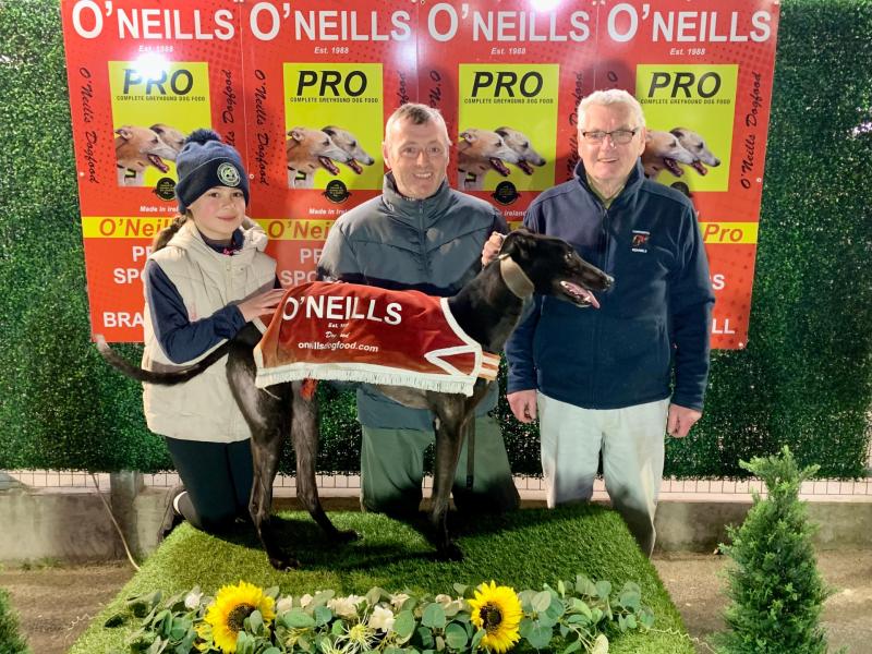 Derry Greyhounds: Heroic performance by Swan lands Meenagh Kennels Marathon