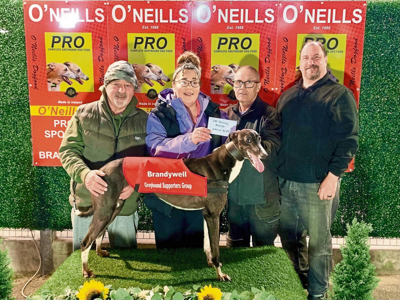 Derry Greyhounds: Diegos Manna lands the Micky Concannon Memorial 500