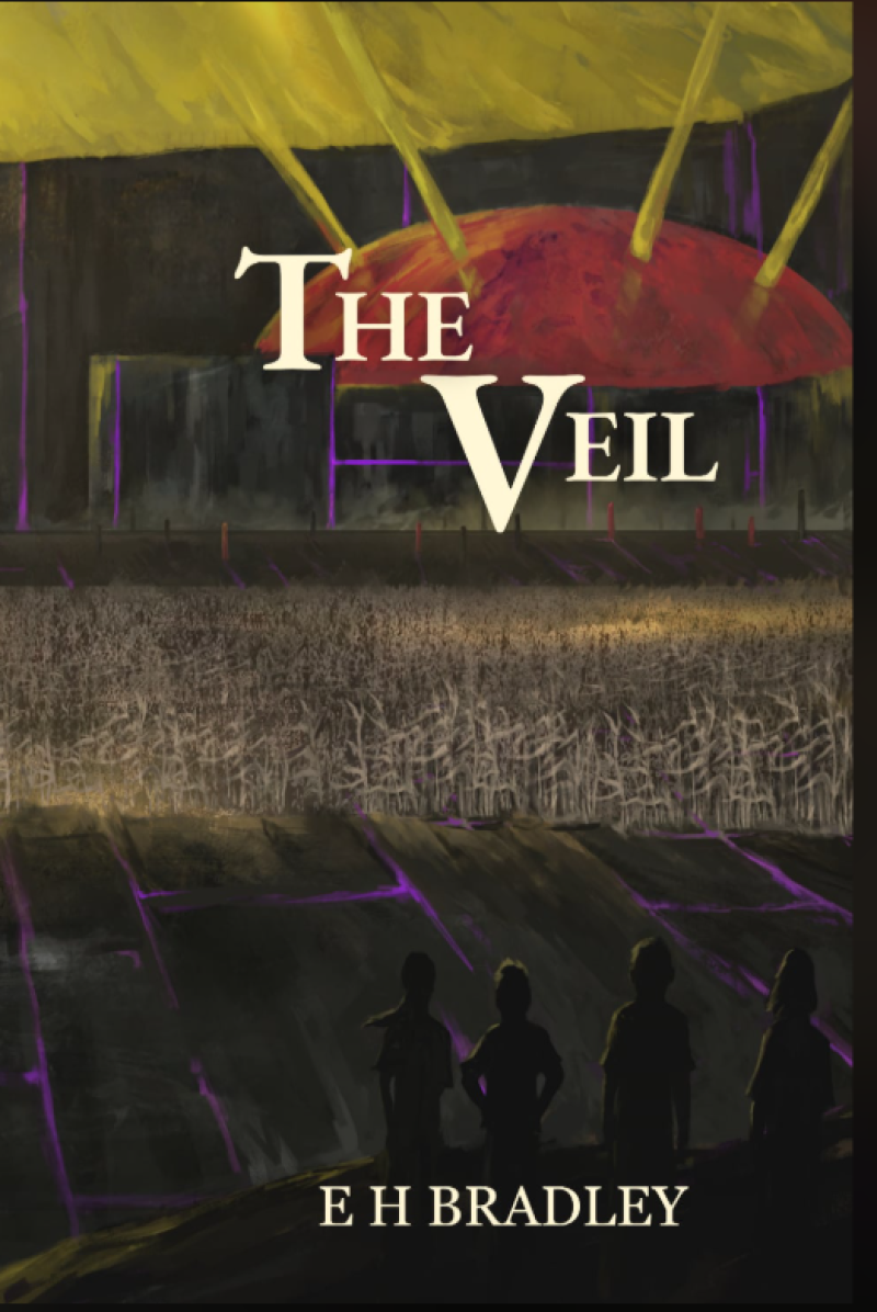 The Veil, book by Derry author Eamonn Bradley