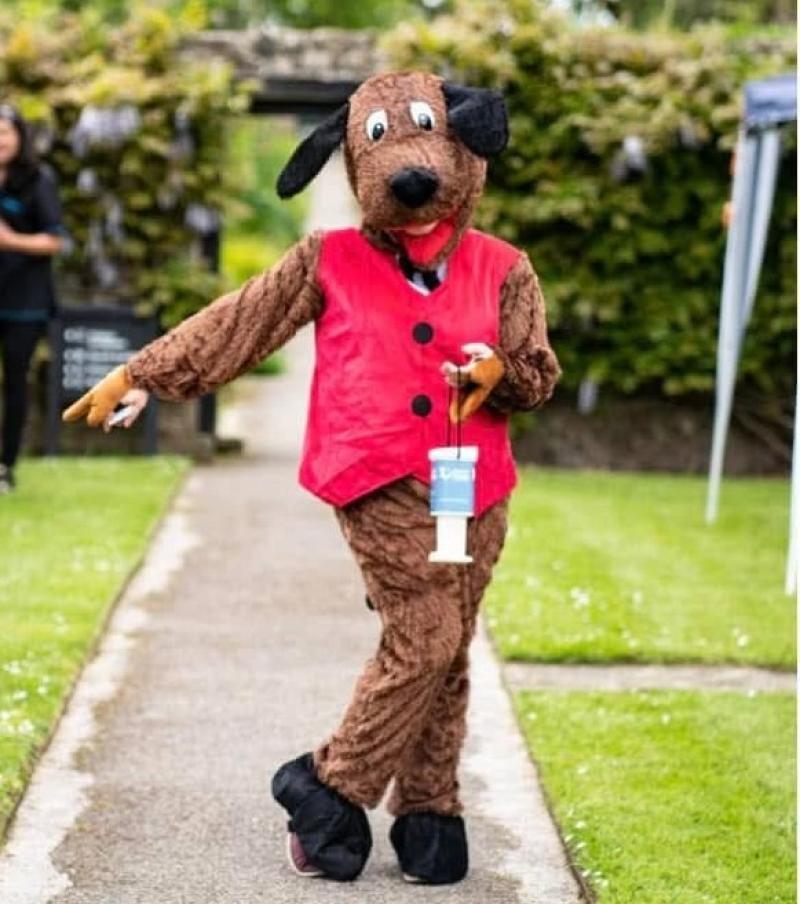 Calling all dog owners: Cancer Focus charity walk returns to Springhill this May