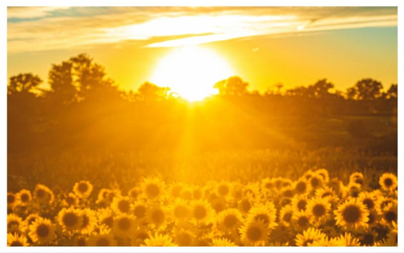 Met Éireann confirms 24 degree heat for Ireland this week but things could take a turn