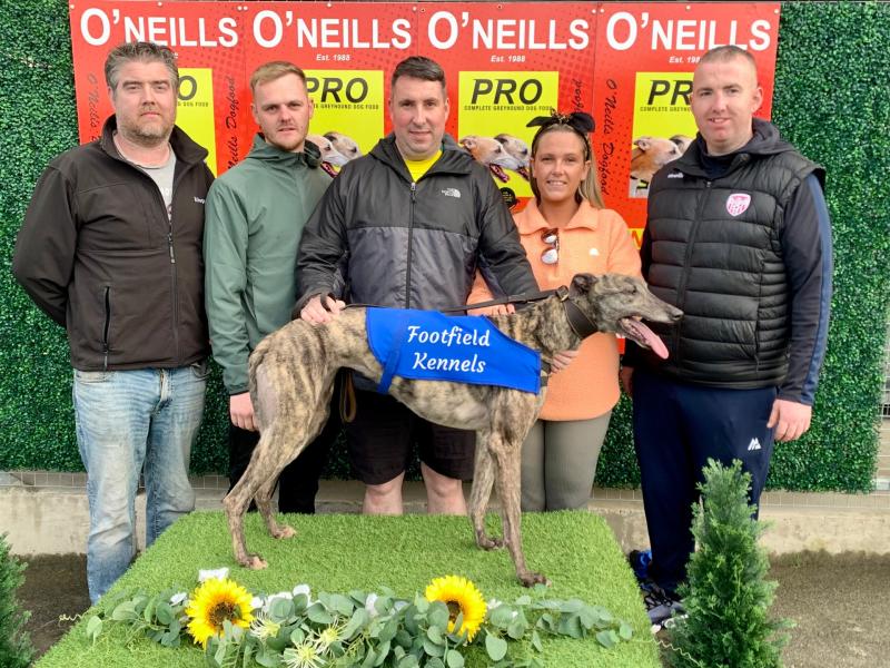 Derry Greyhounds: Shrewd Stories clinches the Joseph Hurley Memorial Trophy 