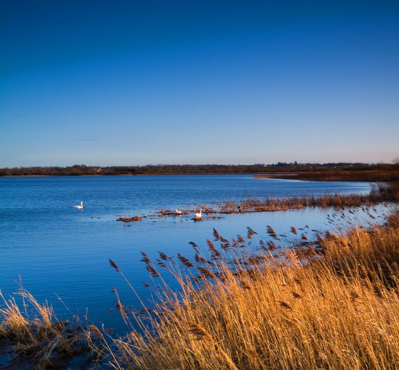 Connected landscapes: How your local river impacts Lough Neagh roadshow launched by Lough Neagh Partnership 
