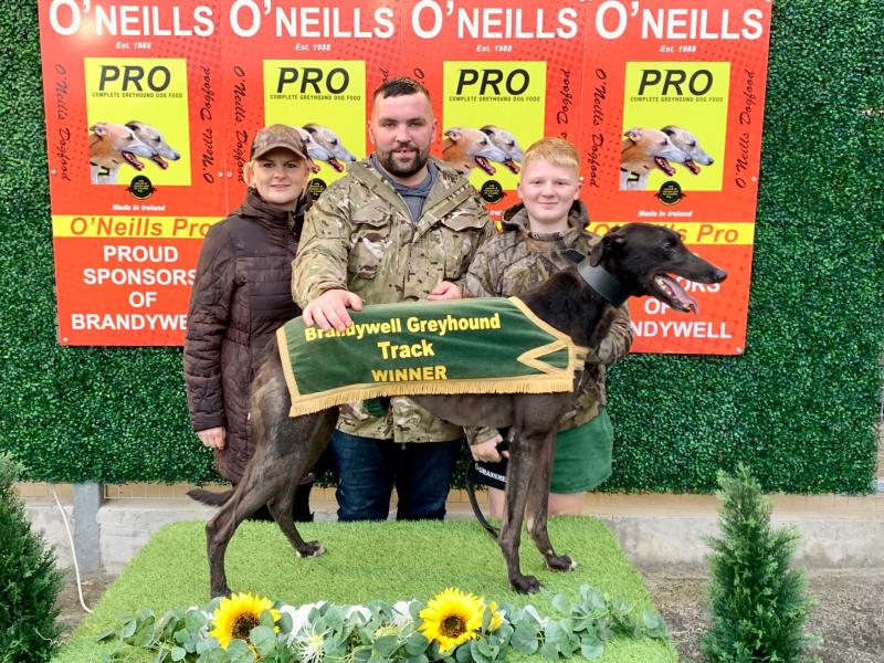 Derry Greyhounds: Diegos Manna scores at Brandywell
