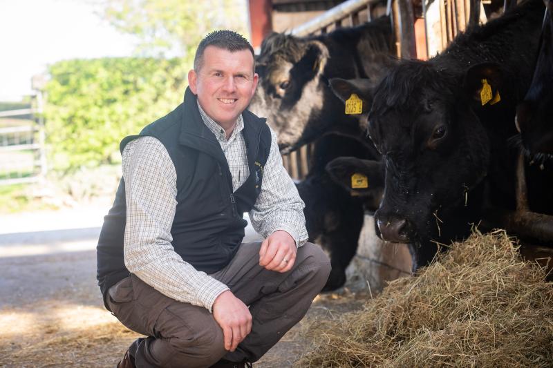 Magherafelt farm set to open its gates to the public next weekend