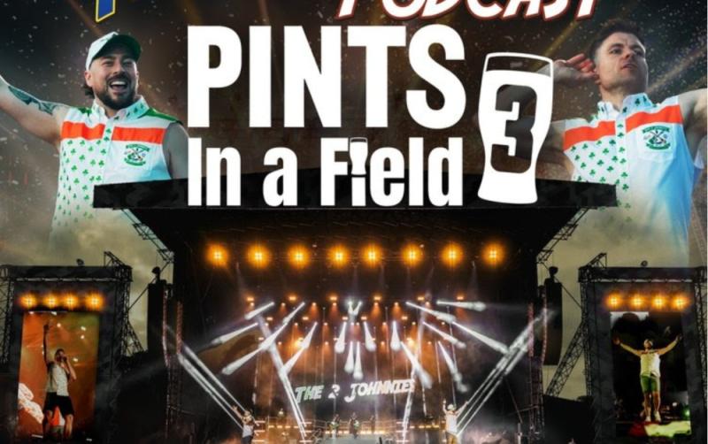 The 2 Johnnies Pints in a Field 3: All you need to know for Saturday’s St Anne’s Park gig