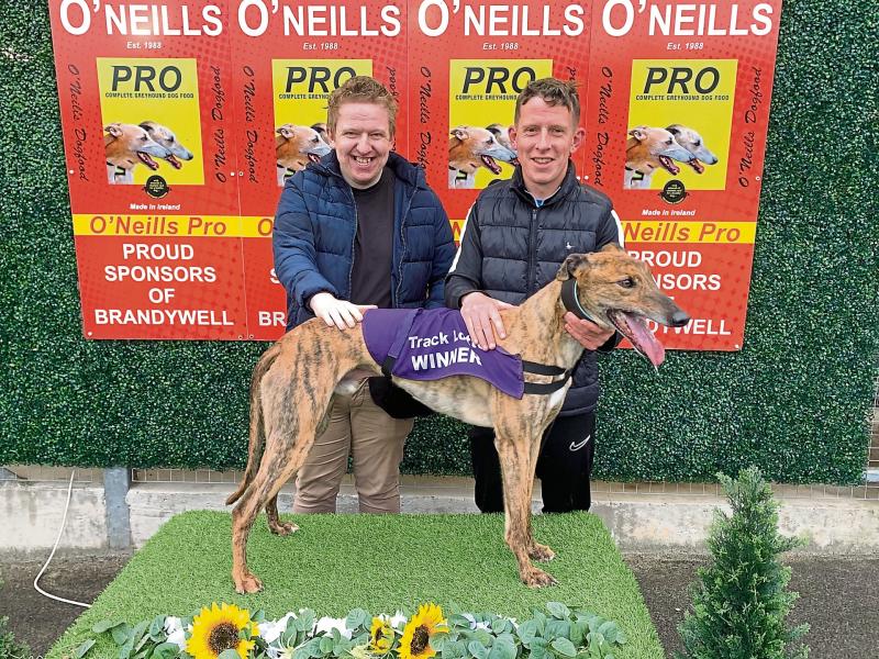 Derry Greyhounds: Starcash sets the Bar-ry high for the Quigley Memorial