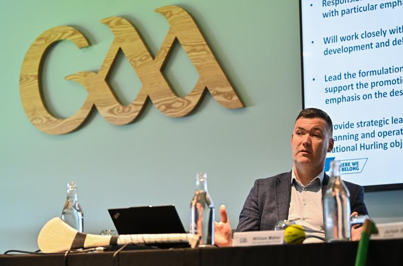'Derry hurling needs County Board buy-in' - Willie Maher