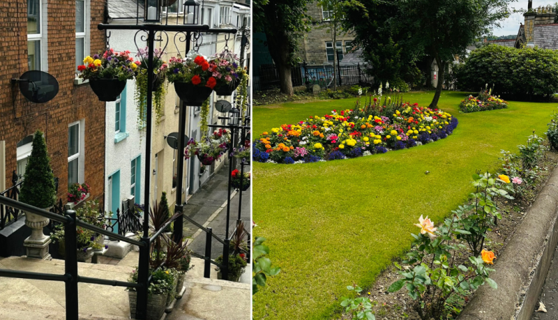 Derry's City Centre Initiative encourage gardeners to brighten up the city