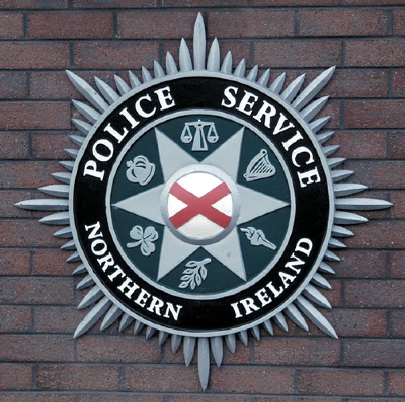 Man arrested in County Derry village after running towards police armed with machete