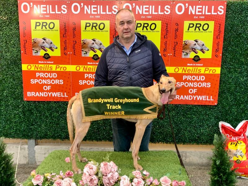 Derry Greyhounds: Power-ful run by Ferndale in Daniel Canning Memorial heat