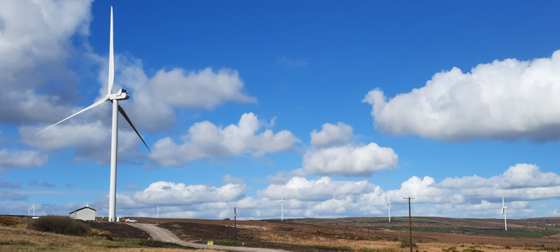 Windfarm