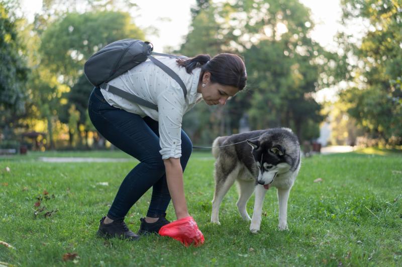 Almost 3,000 dog fouling complaints made across County Derry's three council areas in last five years