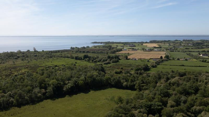 New series of short films to explore blue-green algae at Lough Neagh