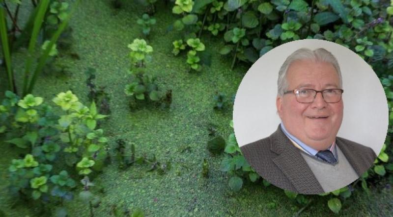 UUP urges assembly to combat pollution 