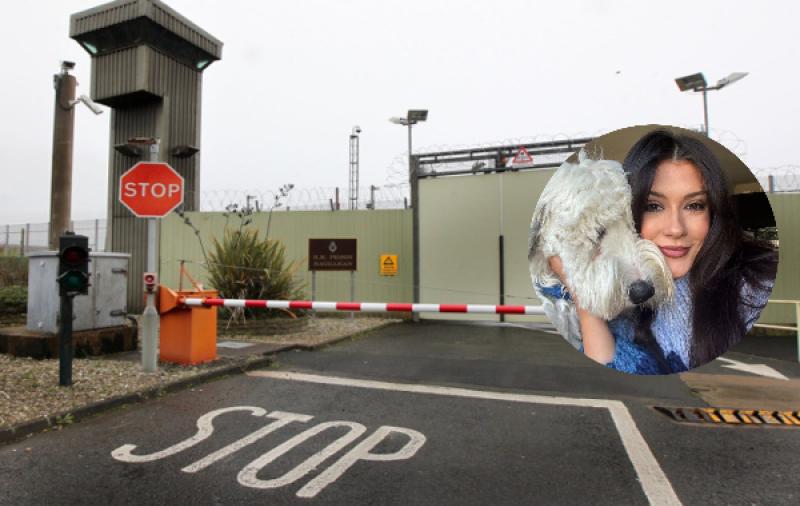 Animal Welfare officers confirm Magilligan prison comfort dog shows “no signs of neglect”