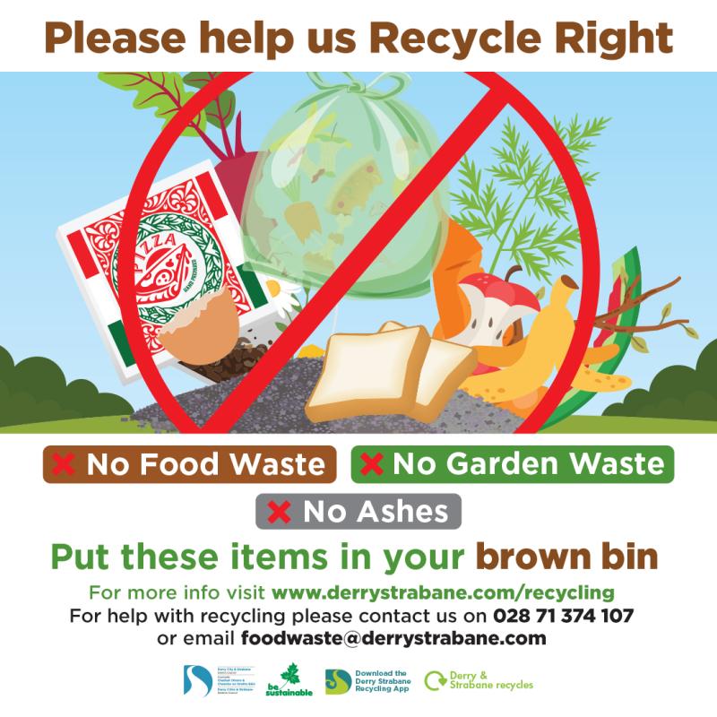 Campaign launched in Derry to encourage households to boost recycling