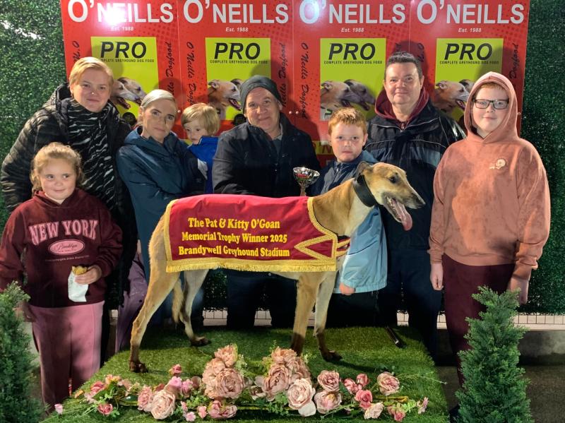 Derry Greyhounds: Starcash Barry sparkles on All The Luck In Life Gala Night