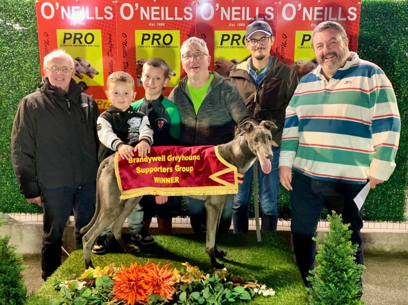 Derry Greyhounds: Meet More Often sprints to success at Brandywell