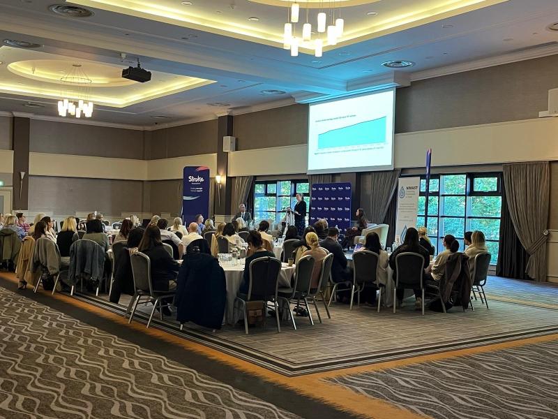 NI Stroke Professional Conference.
